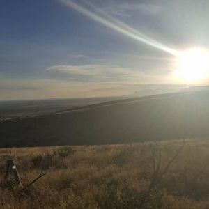 Meet your Posher, Maritza